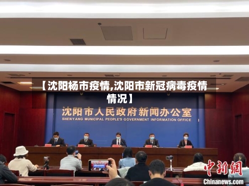 【沈阳杨市疫情,沈阳市新冠病毒疫情情况】-第1张图片