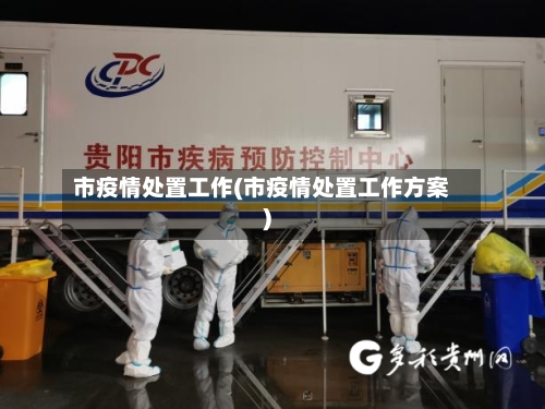 市疫情处置工作(市疫情处置工作方案)-第3张图片
