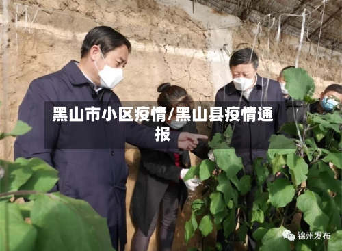 黑山市小区疫情/黑山县疫情通报-第1张图片