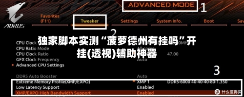 独家脚本实测“菠萝德州有挂吗”开挂(透视)辅助神器-第1张图片