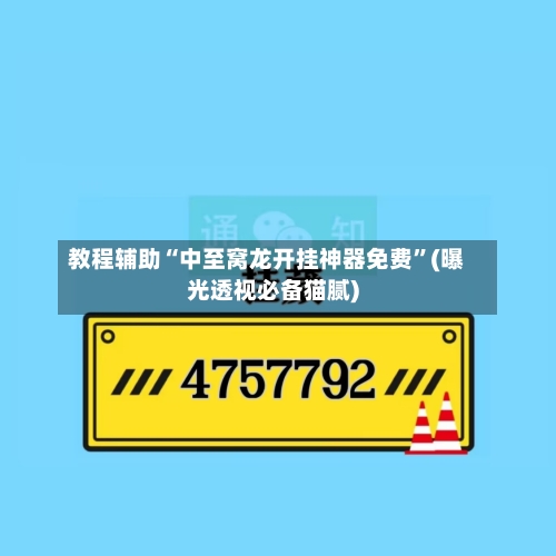 教程辅助“中至窝龙开挂神器免费”(曝光透视必备猫腻)-第3张图片