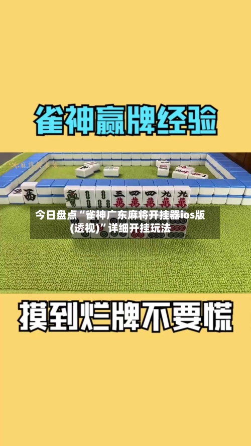 今日盘点“雀神广东麻将开挂器ios版(透视)”详细开挂玩法-第1张图片