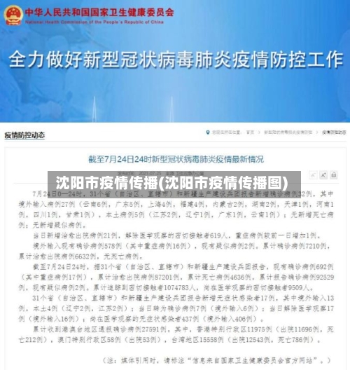 沈阳市疫情传播(沈阳市疫情传播图)-第1张图片