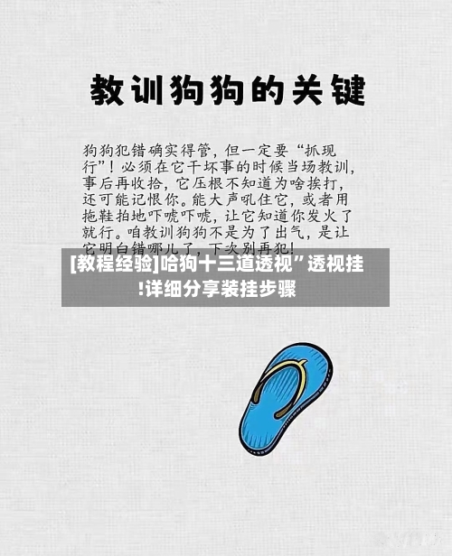 [教程经验]哈狗十三道透视”透视挂!详细分享装挂步骤-第1张图片