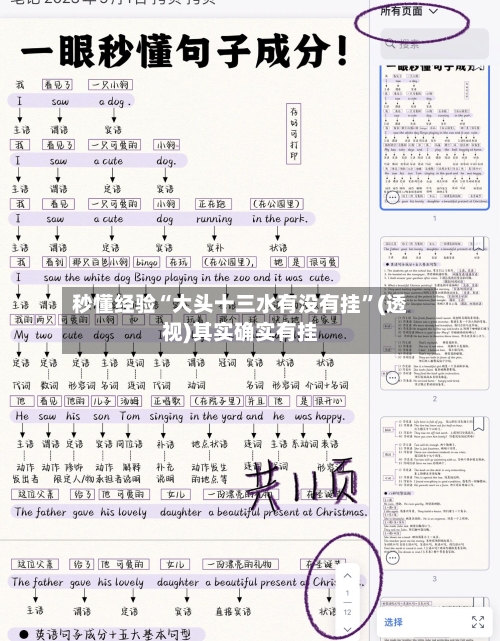 秒懂经验“大头十三水有没有挂	”(透视)其实确实有挂-第2张图片