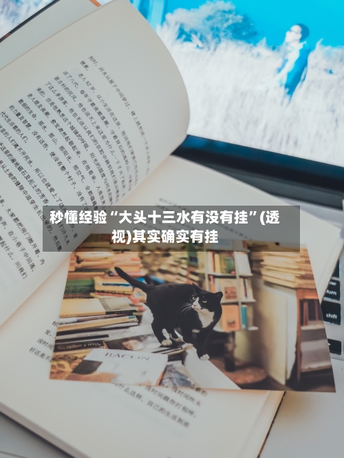 秒懂经验“大头十三水有没有挂”(透视)其实确实有挂-第1张图片