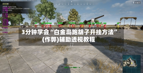 3分钟学会“白金岛跑胡子开挂方法”(作弊)辅助透视教程-第2张图片