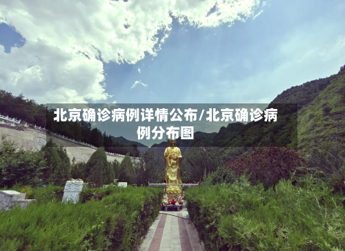 北京确诊病例详情公布/北京确诊病例分布图-第3张图片