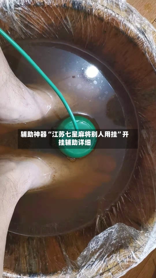 辅助神器“江苏七星麻将别人用挂”开挂辅助详细-第1张图片