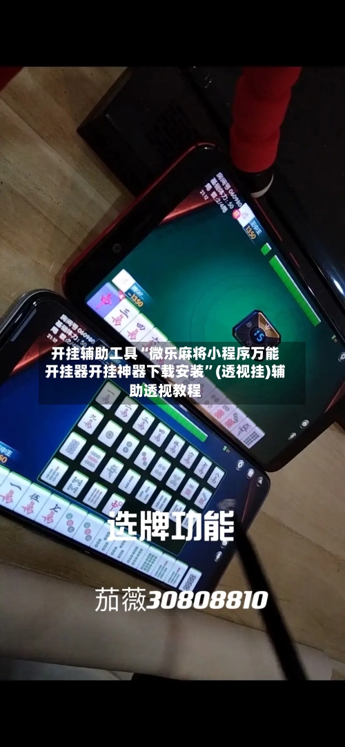 开挂辅助工具“微乐麻将小程序万能开挂器开挂神器下载安装”(透视挂)辅助透视教程-第3张图片