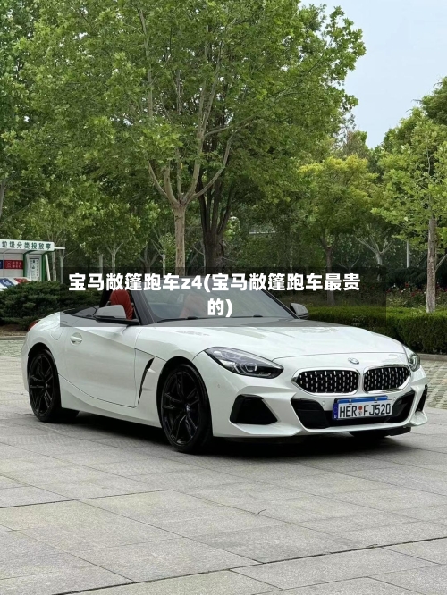 宝马敞篷跑车z4(宝马敞篷跑车最贵的)-第1张图片