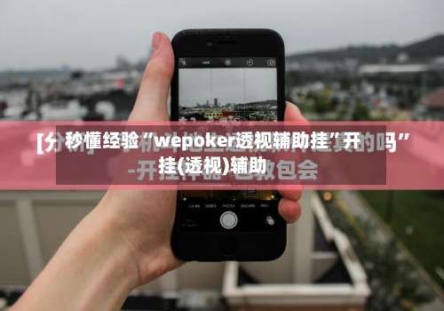 秒懂经验“wepoker透视辅助挂”开挂(透视)辅助-第2张图片