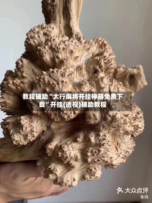教程辅助“太行麻将开挂神器免费下载”开挂(透视)辅助教程-第3张图片