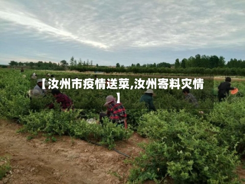 【汝州市疫情送菜,汝州寄料灾情】-第1张图片
