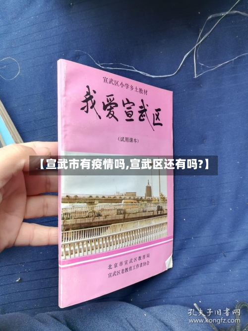【宣武市有疫情吗,宣武区还有吗?】-第3张图片