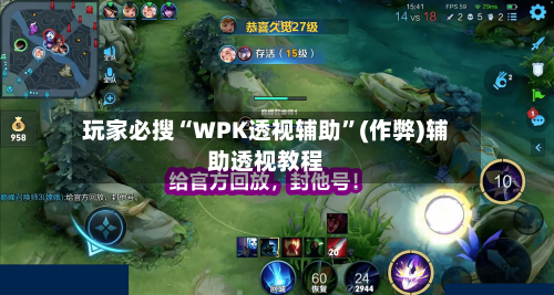 玩家必搜“WPK透视辅助”(作弊)辅助透视教程-第1张图片