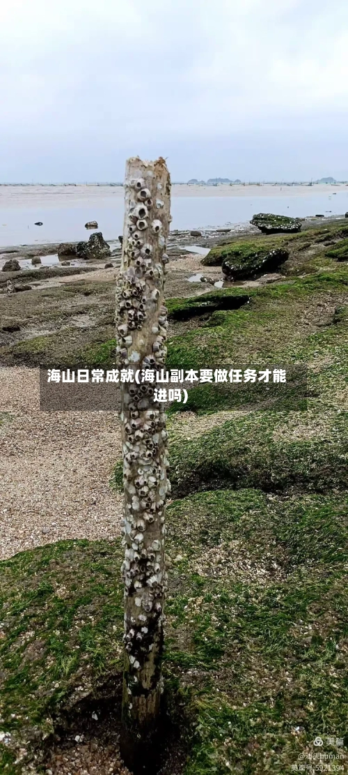 海山日常成就(海山副本要做任务才能进吗)-第1张图片