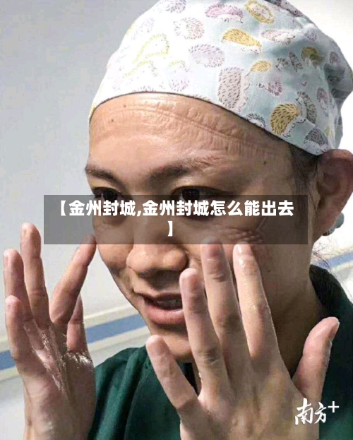 【金州封城,金州封城怎么能出去】-第2张图片