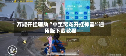 万能开挂辅助“中至窝龙开挂神器”通用版下载教程-第1张图片