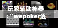 玩家辅助神器:“wepoker透视挂教程方法”详细开挂教程官方正版下载-第2张图片