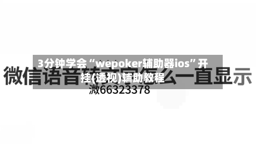 3分钟学会“wepoker辅助器ios”开挂(透视)辅助教程-第2张图片