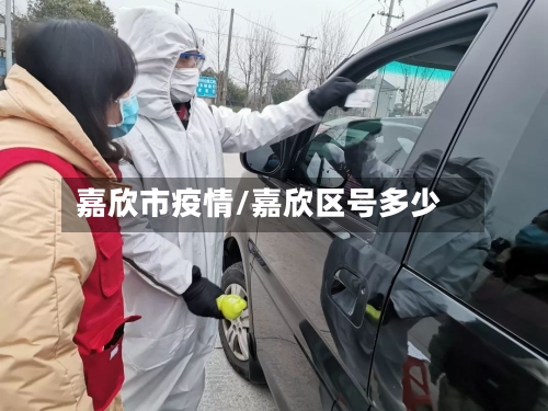 嘉欣市疫情/嘉欣区号多少-第3张图片