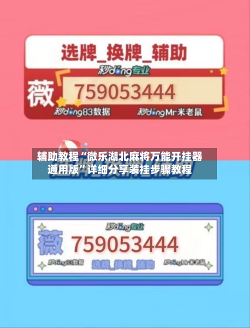 辅助教程“微乐湖北麻将万能开挂器通用版”详细分享装挂步骤教程-第1张图片