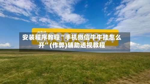 安装程序教程“手机微信牛牛挂怎么开	”(作弊)辅助透视教程-第1张图片