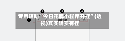 专用辅助“今日花牌小程序开挂”(透视)其实确实有挂-第3张图片