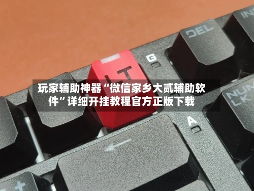 玩家辅助神器“微信家乡大贰辅助软件”详细开挂教程官方正版下载-第1张图片