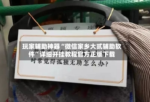 玩家辅助神器“微信家乡大贰辅助软件	”详细开挂教程官方正版下载-第2张图片