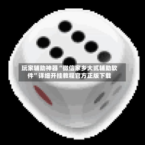 玩家辅助神器“微信家乡大贰辅助软件”详细开挂教程官方正版下载-第3张图片