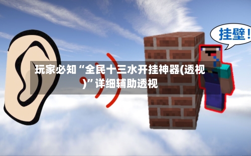 玩家必知“全民十三水开挂神器(透视)”详细辅助透视-第2张图片