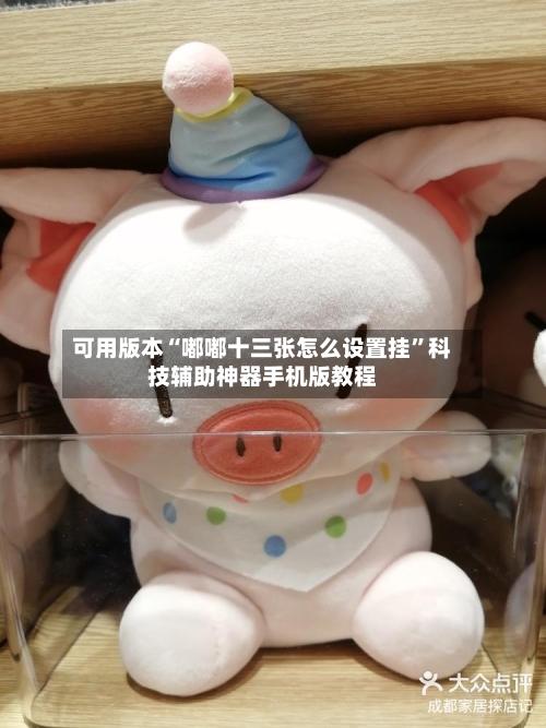 可用版本“嘟嘟十三张怎么设置挂”科技辅助神器手机版教程-第2张图片