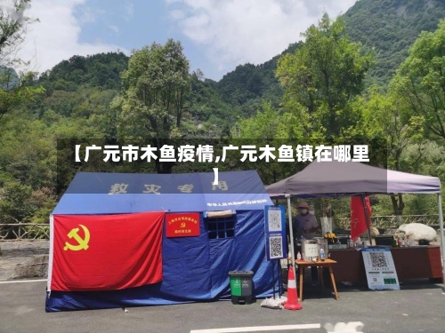 【广元市木鱼疫情,广元木鱼镇在哪里】-第1张图片