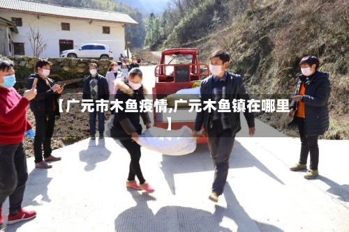 【广元市木鱼疫情,广元木鱼镇在哪里】-第2张图片