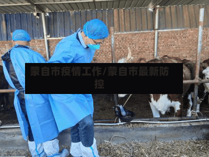 蒙自市疫情工作/蒙自市最新防控-第1张图片