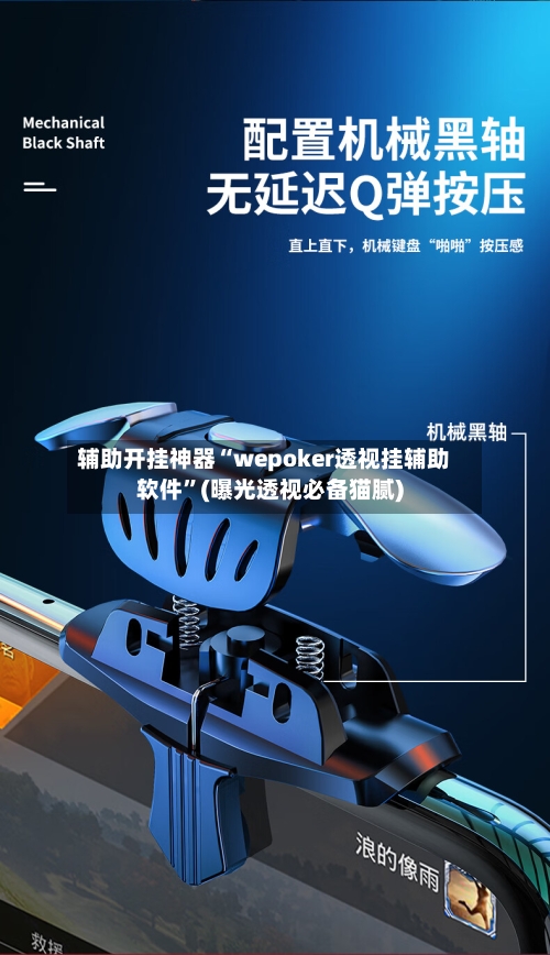 辅助开挂神器“wepoker透视挂辅助软件”(曝光透视必备猫腻)-第1张图片