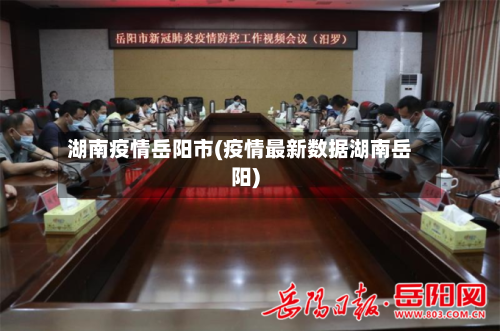 湖南疫情岳阳市(疫情最新数据湖南岳阳)-第1张图片