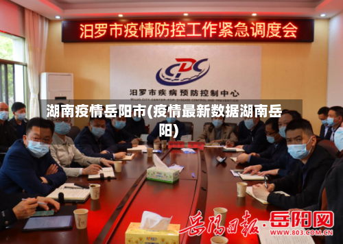 湖南疫情岳阳市(疫情最新数据湖南岳阳)-第2张图片