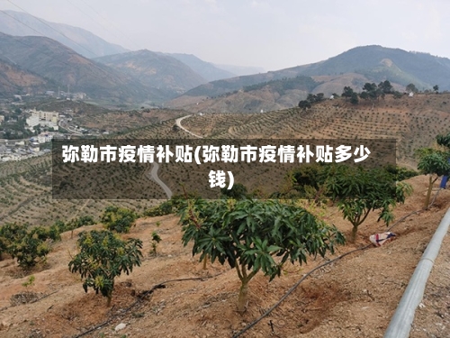 弥勒市疫情补贴(弥勒市疫情补贴多少钱)-第1张图片