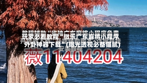 玩家必看教程“微乐广东麻将小程序外卦神器下载	”(曝光透视必备猫腻)-第1张图片