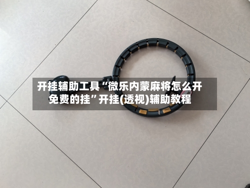 开挂辅助工具“微乐内蒙麻将怎么开免费的挂”开挂(透视)辅助教程-第1张图片