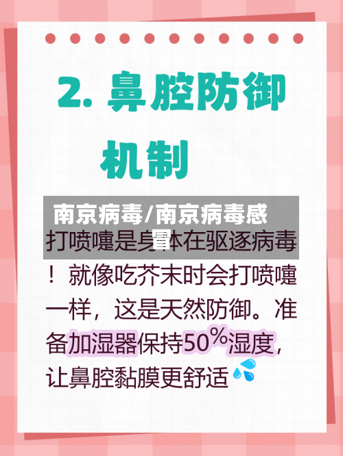 南京病毒/南京病毒感冒-第2张图片