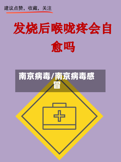 南京病毒/南京病毒感冒-第3张图片