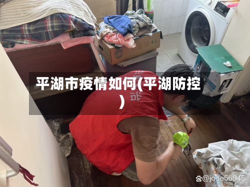 平湖市疫情如何(平湖防控)-第1张图片
