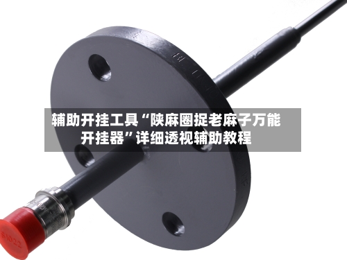 辅助开挂工具“陕麻圈捉老麻子万能开挂器”详细透视辅助教程-第1张图片