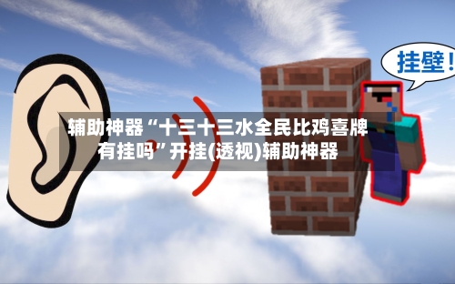 辅助神器“十三十三水全民比鸡喜牌有挂吗”开挂(透视)辅助神器-第3张图片