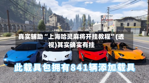 真实辅助“上海哈灵麻将开挂教程”(透视)其实确实有挂-第2张图片
