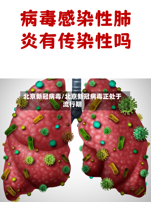 北京新冠病毒/北京新冠病毒正处于流行期-第2张图片